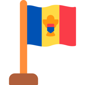 Despre proiect